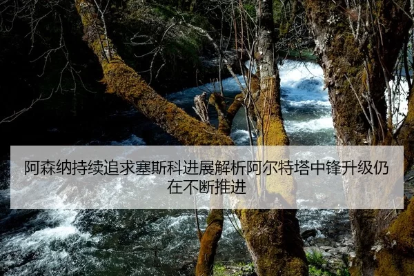 阿森纳持续追求塞斯科进展解析阿尔特塔中锋升级仍在不断推进