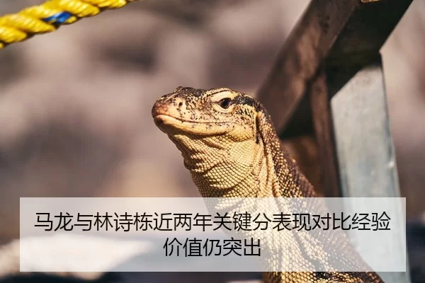 马龙与林诗栋近两年关键分表现对比经验价值仍突出
